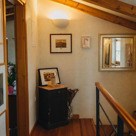 Dreamhill Meloni Villa Мотовун Екстериор снимка