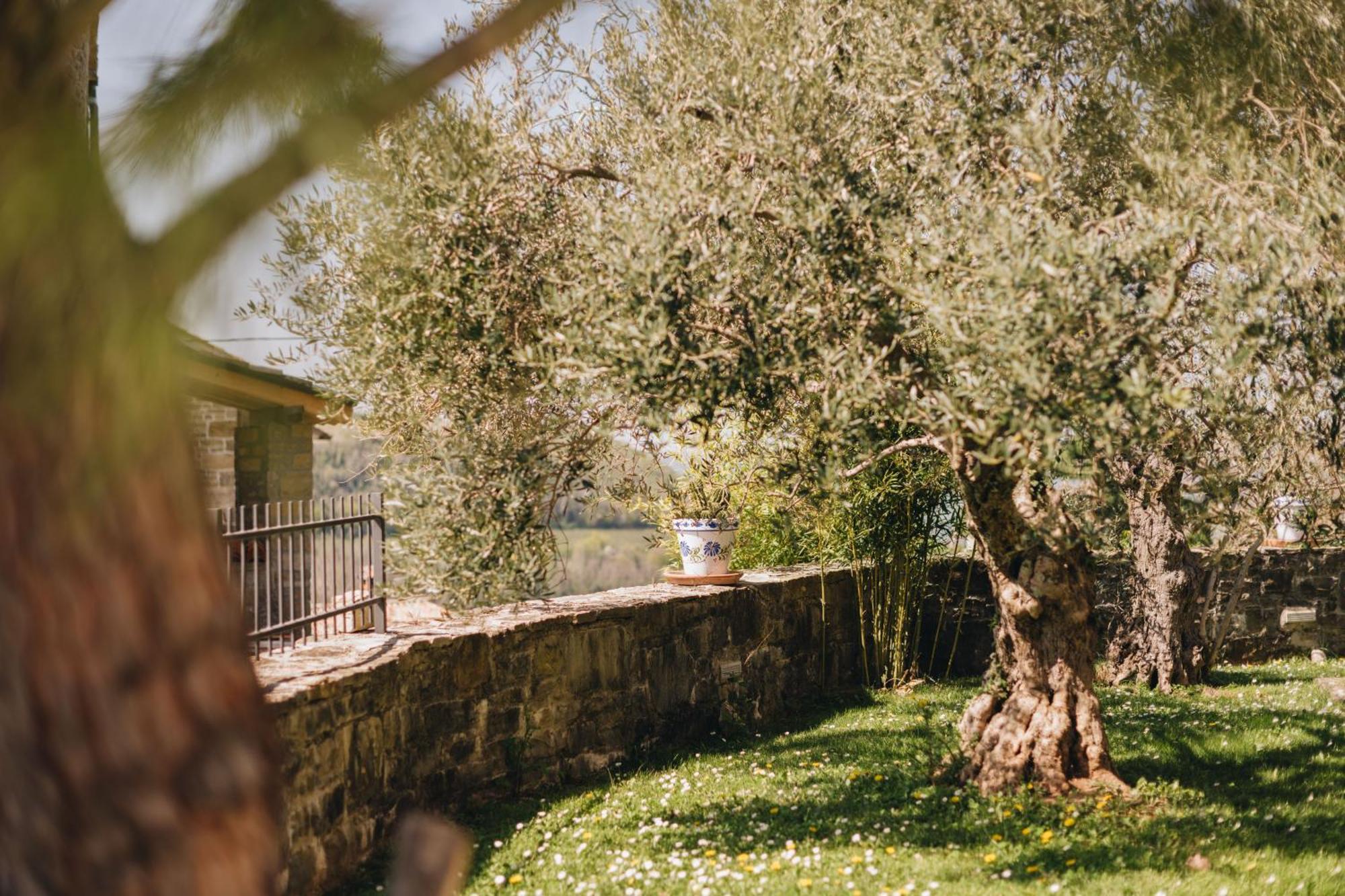 Dreamhill Meloni Villa Мотовун Екстериор снимка