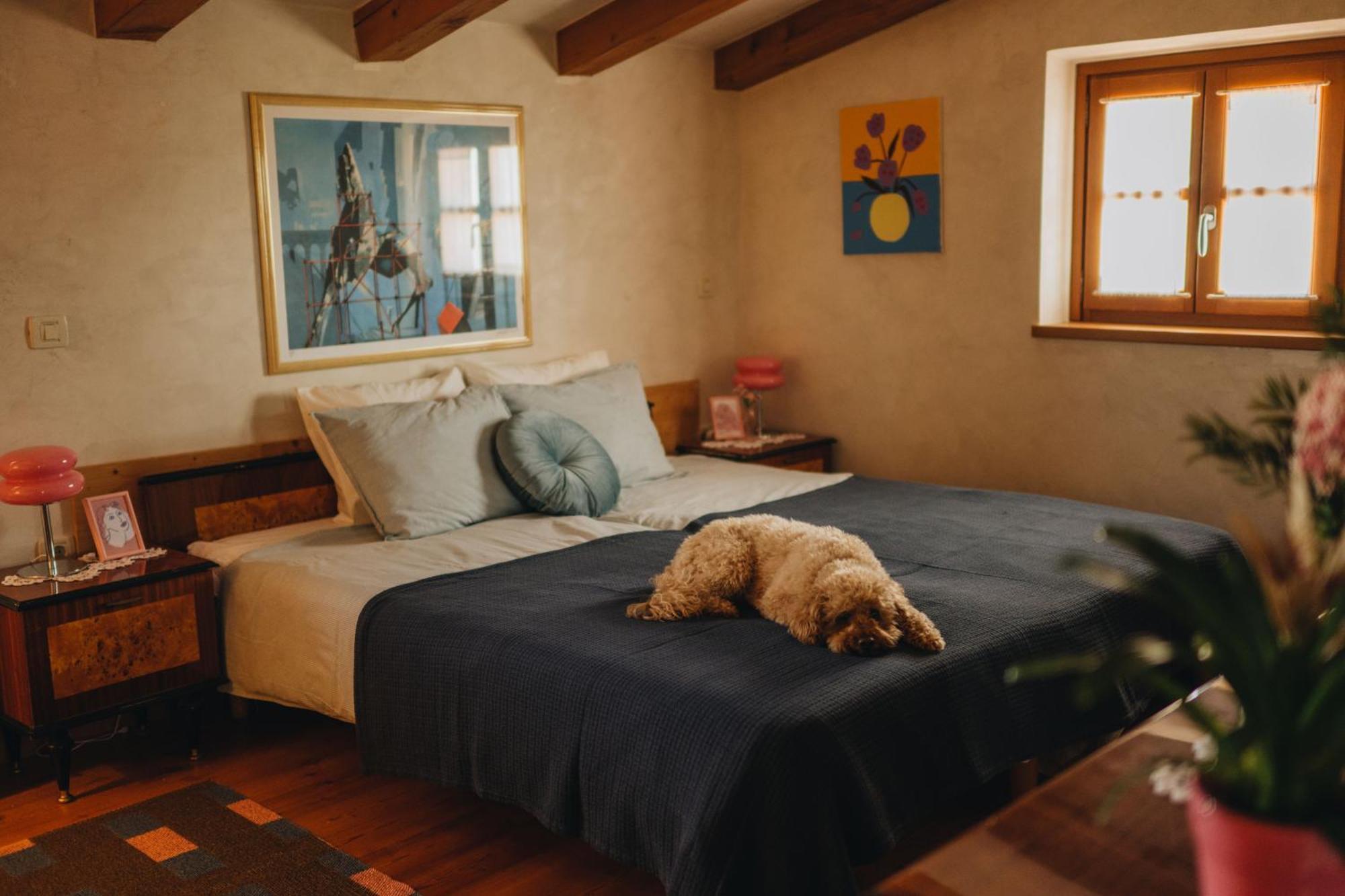 Dreamhill Meloni Villa Мотовун Екстериор снимка